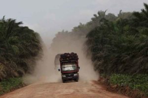 Ekonomi Dunia Mulai Pulih, Laba Bersih Astra Agro Naik 152 persen