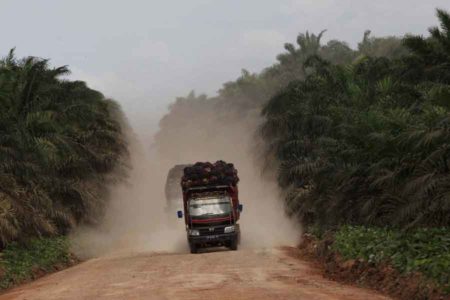 Ekonomi Dunia Mulai Pulih, Laba Bersih Astra Agro Naik 152 persen
