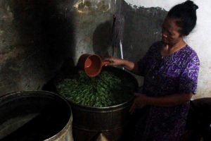 Kampung Lontong Surabaya, Lintas Zaman terus Bertahan