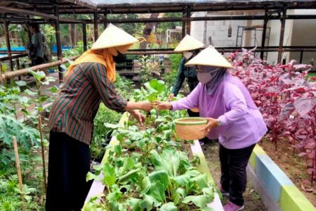 Pertamina Patra Niaga Ajak Masyarakat Kembangkan Pertanian Kota untuk Masa Depan