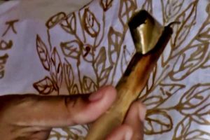 Tinggalkan Produk Kimia, Perajin Batik ini Gunakan Mangrove sebagai Pewarna
