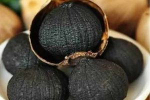 Peneliti Unair Kembangkan Formula Fermentasi Bawang Putih untuk Lansia Pasca Vaksinasi