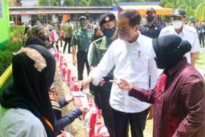 Rehabilitasi Kerusakan Hutan, Presiden Tanam Pohon di Area Bekas Tambang