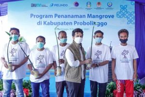 Dukung Rehabilitasi Mangrove Berskala Nasional, Emil Dardak Target Penanaman Mangrove 2022 Bertambah 1.280 Hektar