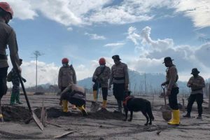 Hari Kelima Paska Erupsi Semeru, Tim Gabungan Temukan 43 Korban Meninggal