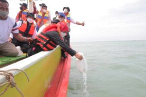 Percepat Target Pengurangan Emisi Gas Karbon lewat Penanaman Mangrove