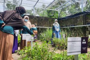 Tebar Pelangi Pagi, Sahabat Pertamina Ajak Wanita Lansia tetap Sehat, Produktif, dan Bahagia