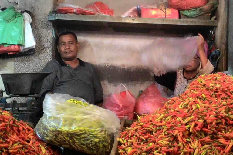 Jelang Nataru, Masyarakat Tidak Perlu Panik Soal Pasokan Cabai