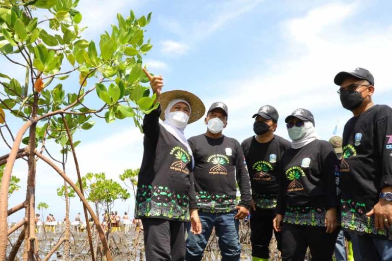 Tanam Mangrove di Pantai Bohay, Gubernur Khofifah Kenalkan Filosofi ‘Urip Iku Urup’