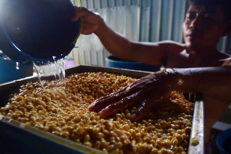 Mogok Produksi, Pemerintah Imbau Perajin Tahu Tempe Modifikasi Ukuran Kampung Tempe Surabaya