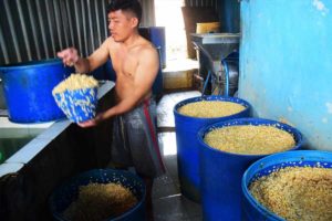 Tak Berbuat Apa-apa, Akindo Tunggu Janji Kemendag Stabilkan Harga Kedelai