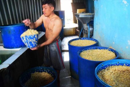 Tak Berbuat Apa-apa, Akindo Tunggu Janji Kemendag Stabilkan Harga Kedelai