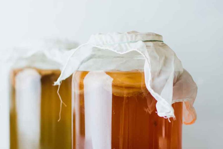 Minuman Tradisional Berfermentasi, Segar dan Bermanfaat