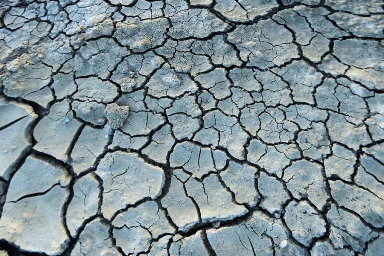 Lumpur Lapindo Sidoarjo, Kandungan Logam Tanah Jarang yang Tersimpan di Area Bencana