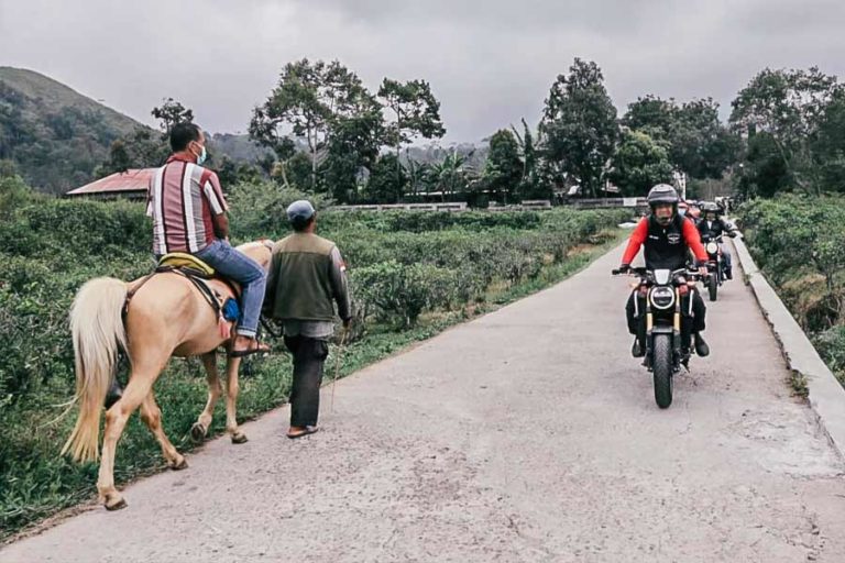Naik Motor ke Karanganyar, Ganjar Kunjungi Desa Wisata Kemuning