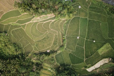 Hari Bumi 2022: Pekerjaan Rumah Pemerintah untuk Memproteksi Lingkungan dan Menyelamatkan Bumi