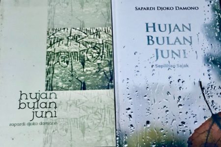 Google Doodle Sapardi Djoko Damono, Ini Puisi Romantis Hujan Bulan Juni