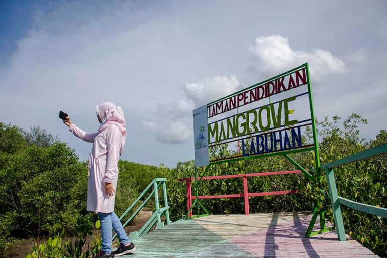 Menahan Laju Abrasi dari Taman Pendidikan Mangrove Labuhan