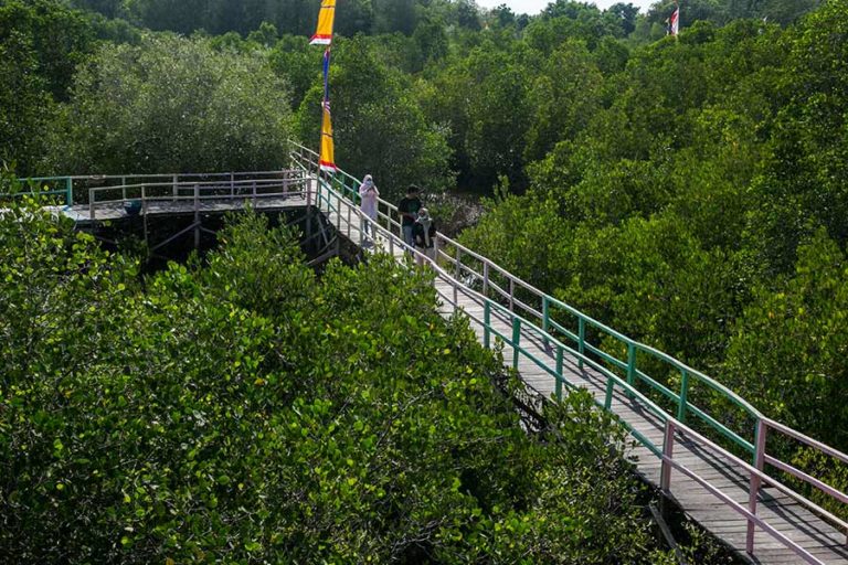 Menahan Laju Abrasi dari Taman Pendidikan Mangrove Labuhan