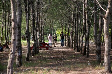 Menahan Laju Abrasi dari Taman Pendidikan Mangrove Labuhan