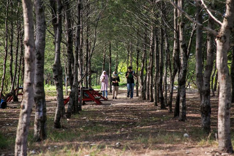 Menahan Laju Abrasi dari Taman Pendidikan Mangrove Labuhan