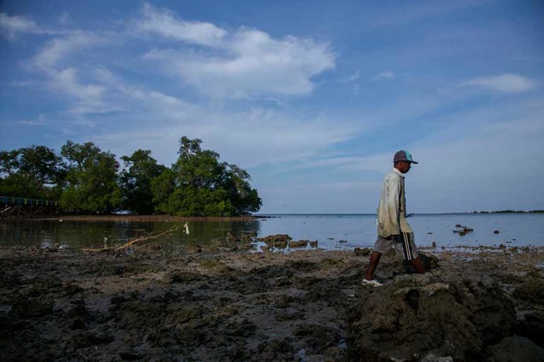 Menahan Laju Abrasi dari Taman Pendidikan Mangrove Labuhan