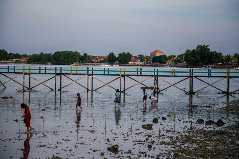 Menahan Laju Abrasi dari Taman Pendidikan Mangrove Labuhan