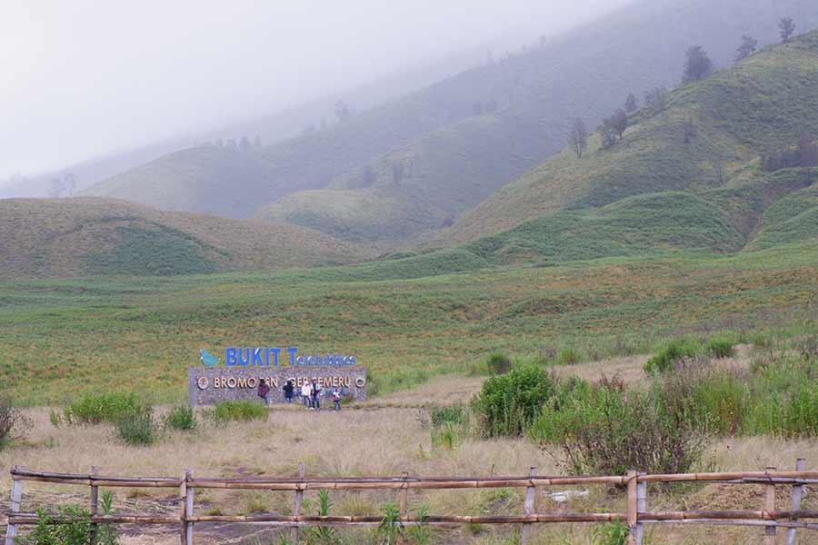 Paruman Dukun Tengger: Mengembalikan Hakikat Adat