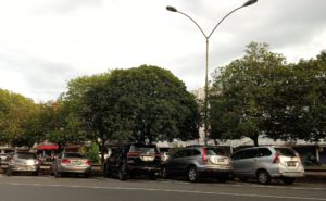 Di Pontianak, Juru Parkir yang ‘Nakal’ Ditertibkan