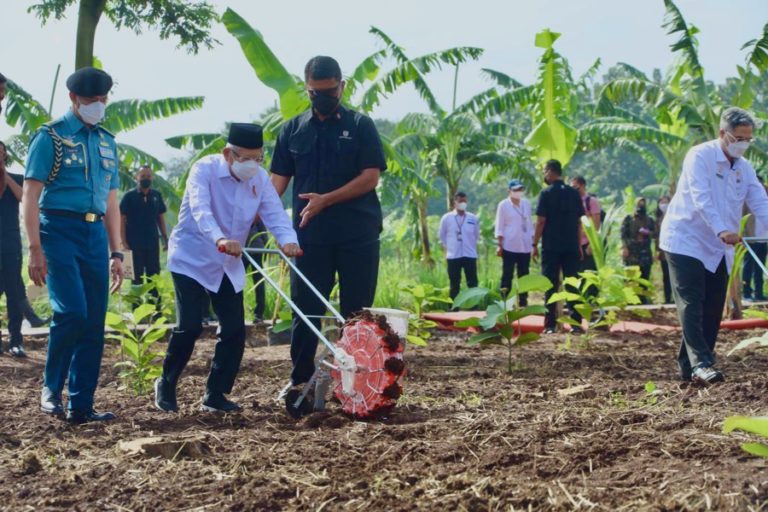 Wapres Ajak Masyarakat Bertani Dengan Konsep Integrated Farming, Apa Itu?