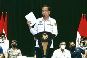 Ketum APDESI Minta Honor Pegawai Desa Dibayarkan Sebulan Sekali, Begini Respon Jokowi