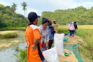 10 Ribu Ton Beras dari Tiga Daerah di Sulawesi Selatan diserap Bulog