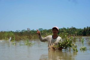 Profesi Petani Diprediksi Hilang pada 2065 Banjir Kedungmulyo Purworejo