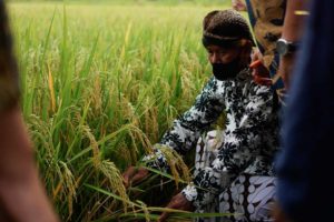 Wiwitan, Cara Petani Cangkring Mengungkap Syukur dan Harapan