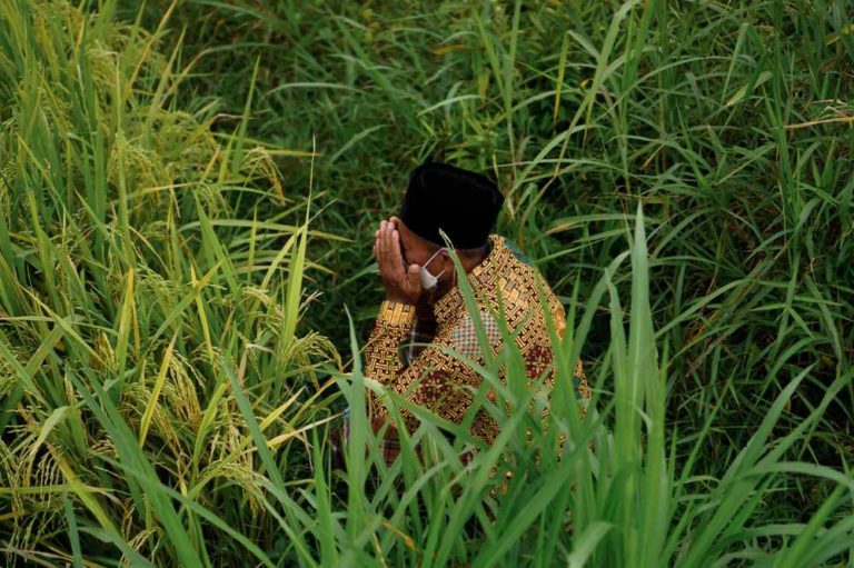 Wiwitan, Cara Petani Cangkring Mengungkap Syukur dan Harapan