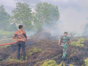 Tinjau Langsung Kebakaran Lahan, Walikota Pontianak: Kami Sedang Mencari Pelaku Pembakar