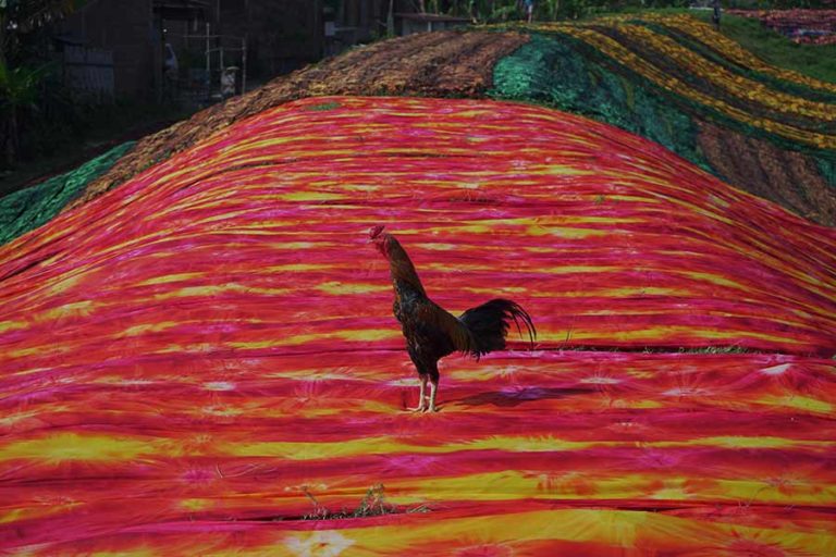 Panjang Membentang Warna-warni Mojolaban