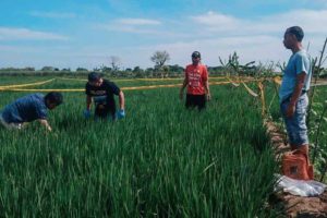 Polisi Selidiki Dugaan Pembunuhan dan Mutilasi terhadap Wanita tanpa Identitas di Tegal