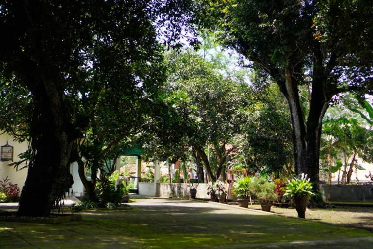 Serangan Umum 1 Maret dan Ingatan dari Limasan Jaya Wirya