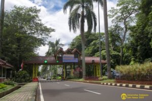 Terima 2.013 Mahasiswa Baru, UI Buka Jalur Prestasi dan PPKB