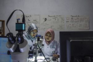 Deteksi Pencemaran Air, Mahasiswa Jatim Identifikasi Mikroplastik di Laboratorium