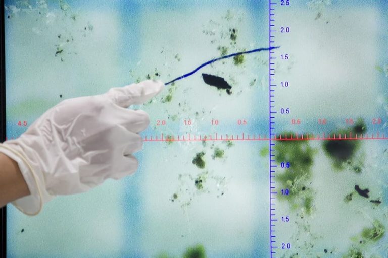 Deteksi Pencemaran Air, Mahasiswa Jatim Identifikasi Mikroplastik di Laboratorium