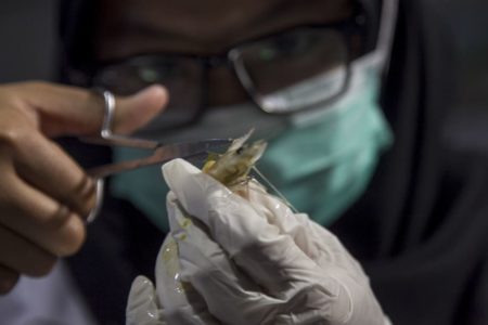 Deteksi Pencemaran Air, Mahasiswa Jatim Identifikasi Mikroplastik di Laboratorium Deteksi Pencemaran Air, Mahasiswa Jatim Identifikasi Mikroplastik di Laboratorium