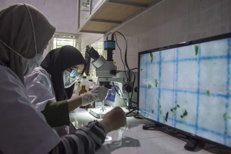 Deteksi Pencemaran Air, Mahasiswa Jatim Identifikasi Mikroplastik di Laboratorium