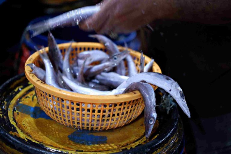 Lenggang Pasar Ikan Pabean Surabaya