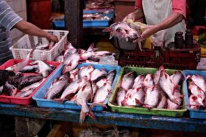 Lenggang Pasar Ikan Pabean Surabaya
