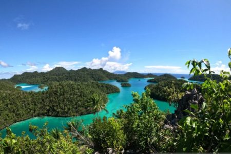 Kembangkan Potensi Daerah, Harapan Kepala Daerah Atas Otonomi Daerah di Papua Barat