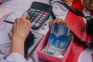 BI Klaim Utang Indonesia Masih Sehat