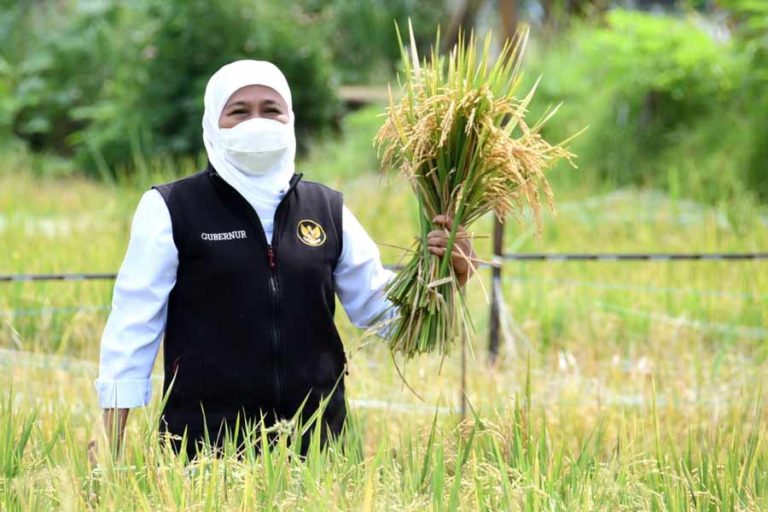 Masuki Kuartal I – 2022, Ekonomi Jatim Tumbuh 5,20 Persen