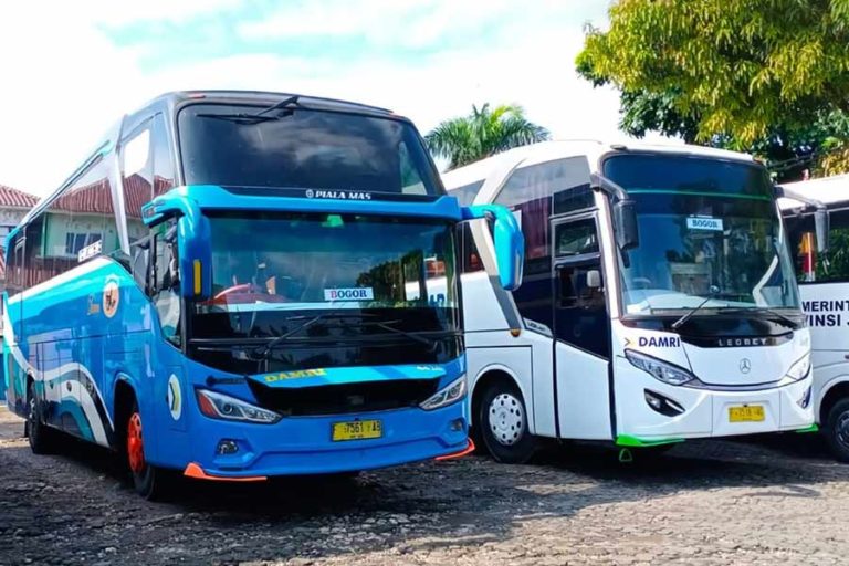 Mulai Layani Tiket Mudik, DAMRI Siapkan 460 Bus Lebaran 2022 Damri
